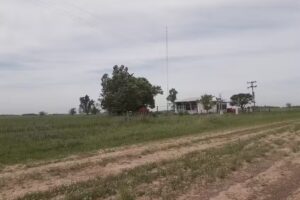 Escuela Primaria N° 5