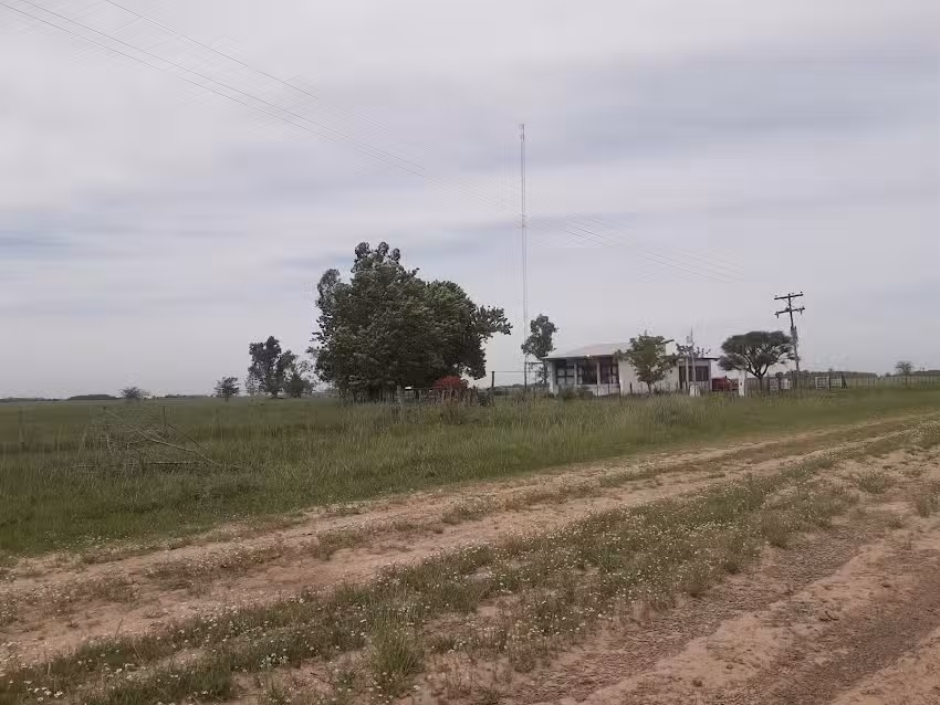 Escuela Primaria N&deg; 5