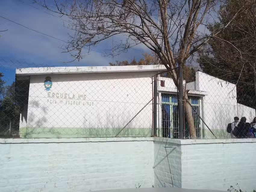 Escuela Primaria N&deg; 5 &ldquo;Almafuerte&rdquo;