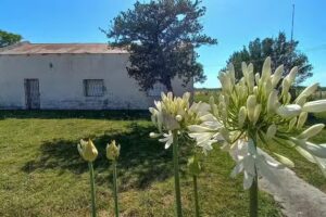 Escuela Primaria N&deg; 51 &ndash; Provincia de Santa F&eacute;