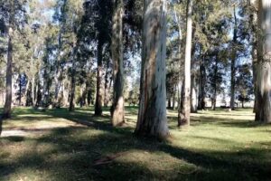 Escuela Primaria N&deg; 6377 &ldquo;Evita&rdquo;