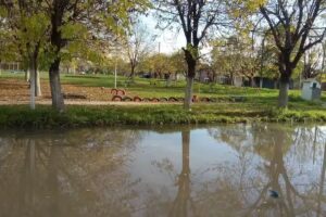 Escuela Primaria N&deg;144 &ndash; Francisco Mu&ntilde;iz