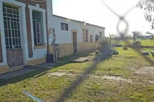 Escuela Primaria n&deg;237 &ldquo;Froylan Palacios&rdquo;