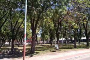 Escuela Primaria N&deg;31 &ldquo;Federico Tobal&rdquo;