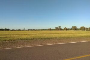 Escuela Primaria N°41