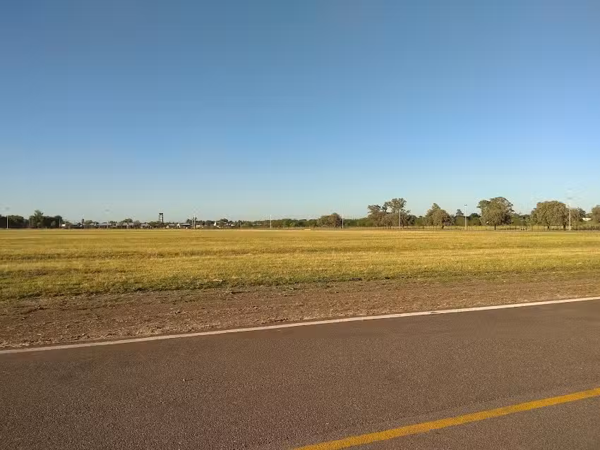 Escuela Primaria N&deg;41