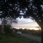 Escuela Primaria N&deg;8