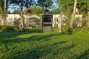 Escuela Primaria N&ordm; 320