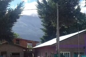 Escuela Primaria Nº 337 “Valle Nuevo”