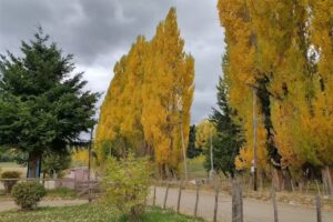 Escuela Primaria n&ordm; 80