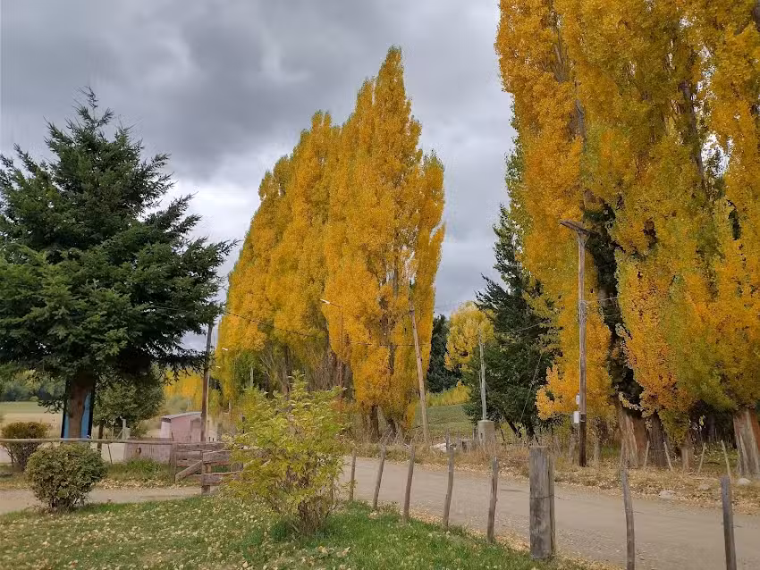 Escuela Primaria n&ordm; 80