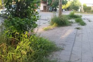 Escuela Primaria N&ordm;10 (ex28)