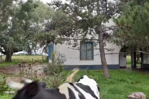 Escuela Primaria Nro 22