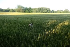 Escuela Primaria N&uacute;mero 11