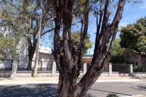 Escuela Primaria P/Adolesc.Y Adultos N&ordm; 6