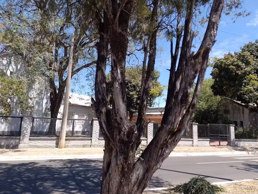 Escuela Primaria P/Adolesc.Y Adultos N&ordm; 6