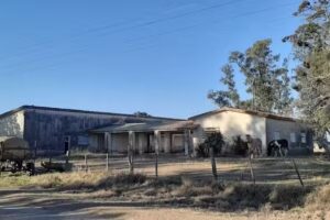Escuela Primaria REMEDIOS ESCALADA DE SAN MARTIN