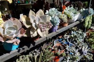 Escuela Primer Teniente Avila