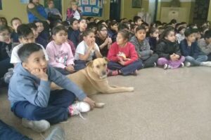 Escuela provincia N&deg;190 Gral Jos&eacute; de San Mart&iacute;n