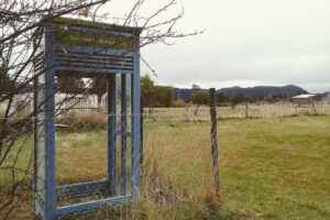 Escuela Provincial 98