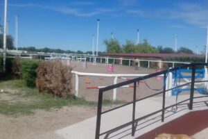 Escuela Provincial de Equinoterapia Terrazas del Portezuelo