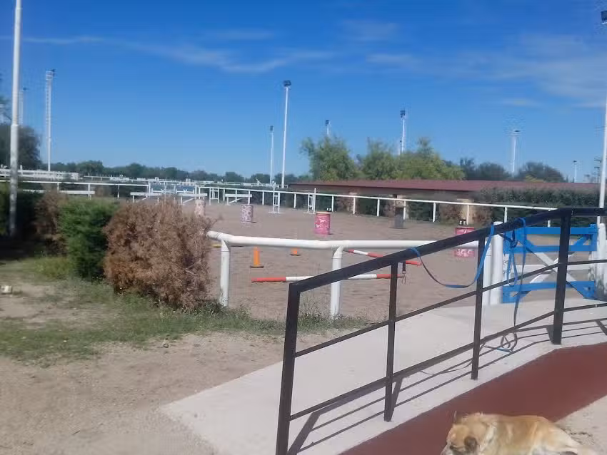 Escuela Provincial de Equinoterapia Terrazas del Portezuelo