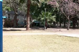 Escuela Provincial N&deg; 127 Dr. Manuel Alberti