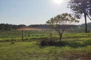 Escuela provincial N&deg; 478