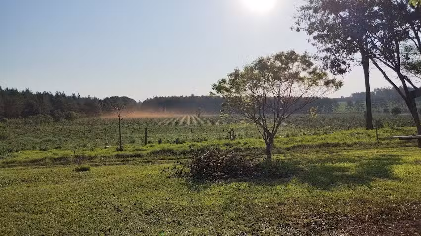 Escuela provincial N&deg; 478