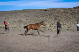 Escuela Provincial N&deg; 63