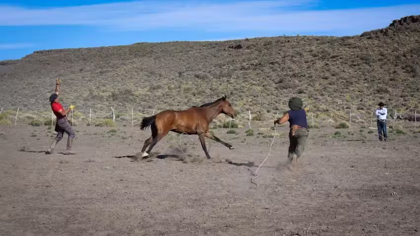 Escuela Provincial N&deg; 63