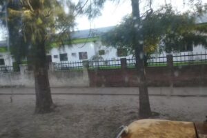 Escuela Provincial N&deg;1009