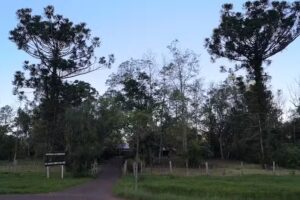 Escuela Provincial N&deg;618