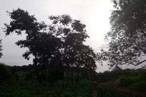 Escuela Provincial N&ordm; 283