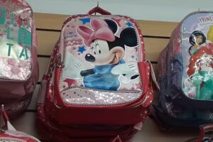 Escuela provincial N&ordm; 5 Dr. Esteban Laureano Maradona