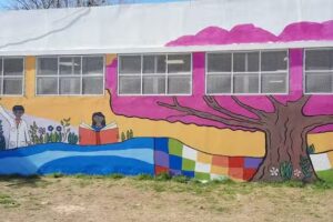 Escuela P&uacute;blica N&deg;37 &ldquo;Angel Mitillo&rdquo;