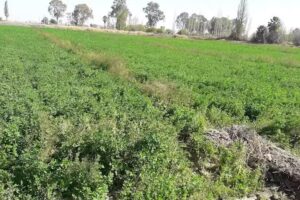 Escuela Rep&uacute;blica Del Per&uacute;