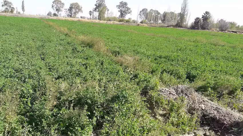Escuela Rep&uacute;blica Del Per&uacute;