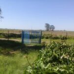 Escuela Rosario Vera Pe&ntilde;aloza