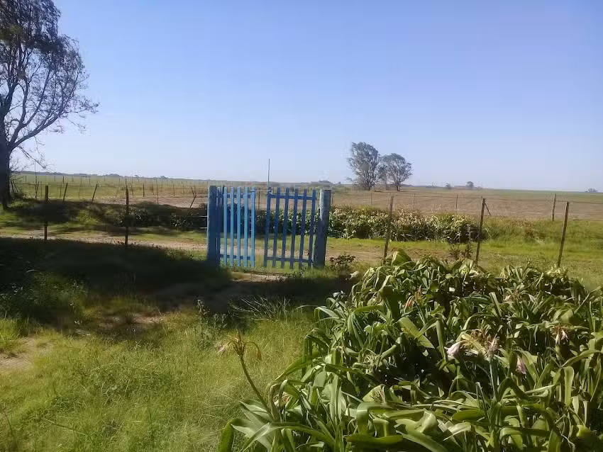 Escuela Rosario Vera Pe&ntilde;aloza