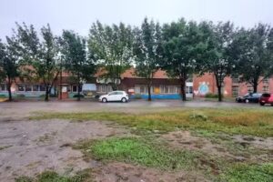 Escuela Rosario Vera Pe&ntilde;aloza