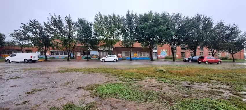 Escuela Rosario Vera Pe&ntilde;aloza