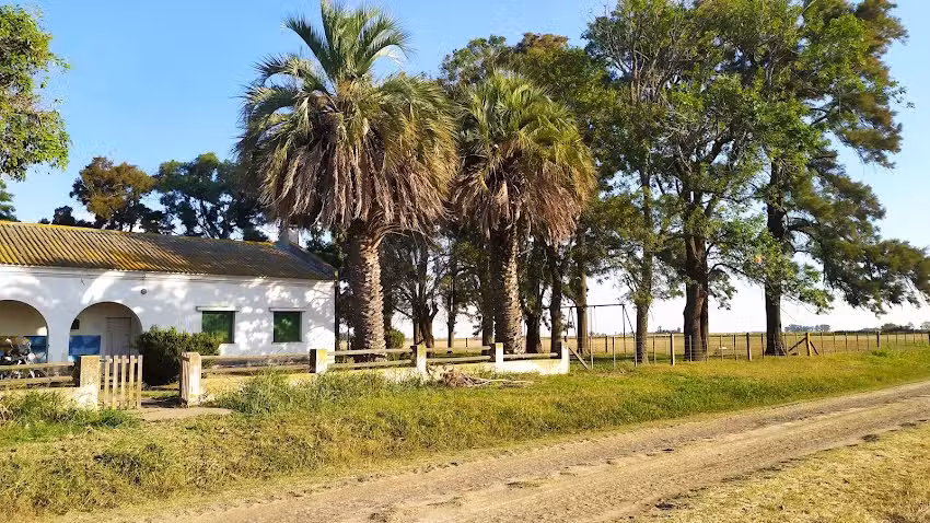 Escuela rural &ldquo;Los Prados&rdquo;