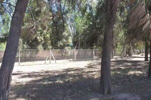 Escuela san francisco