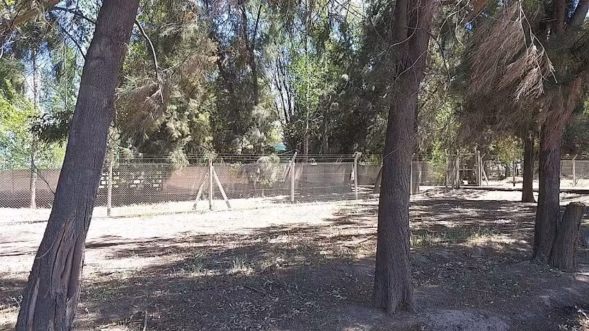 Escuela san francisco