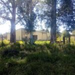 Escuela Santa Justina