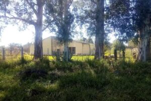 Escuela Santa Justina