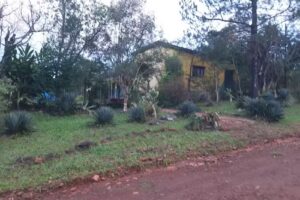 Escuela&rdquo; Santiago Obregon&rdquo; n&deg; 333