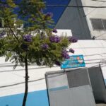 ESCUELA SECUNDARIA E.E.S. N&deg;36