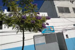 ESCUELA SECUNDARIA E.E.S. N&deg;36